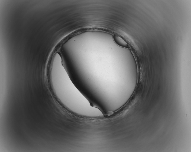 X0000091660876200709201142