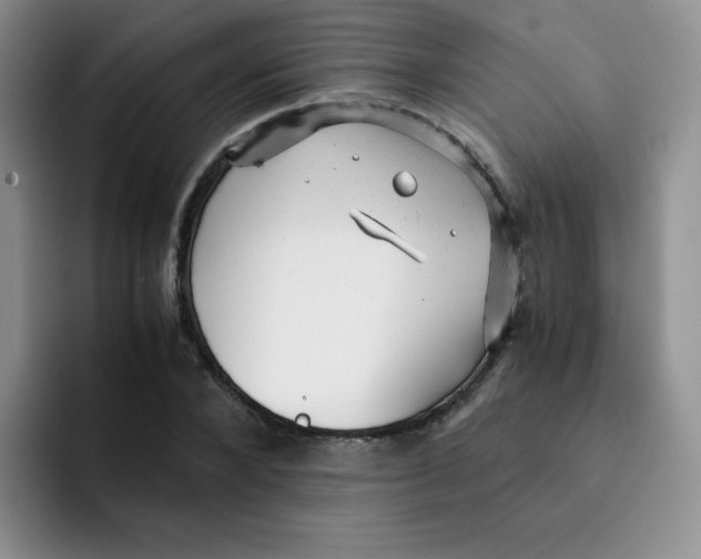 X0000091660880200709201142