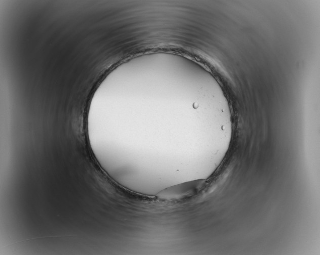 X0000091660881200709201142