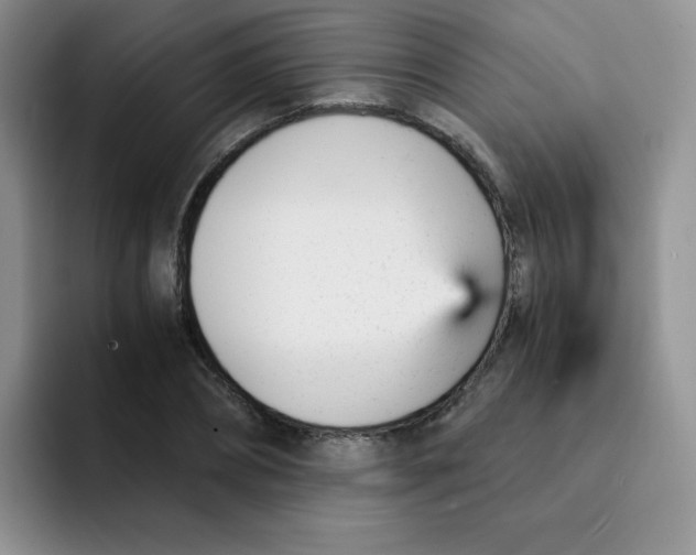 X0000091660882200709201142