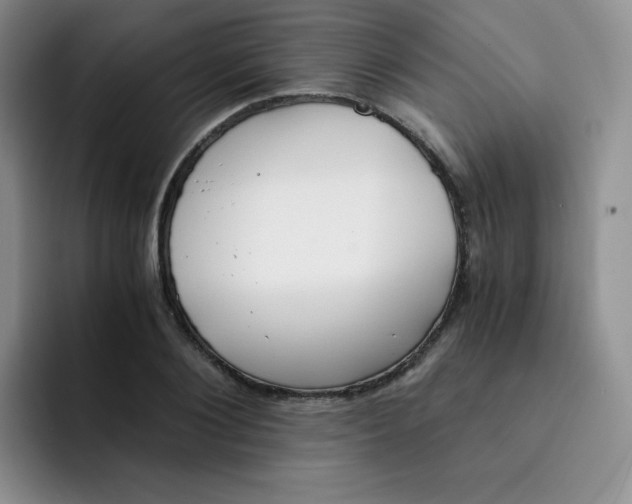 X0000091660884200709201142