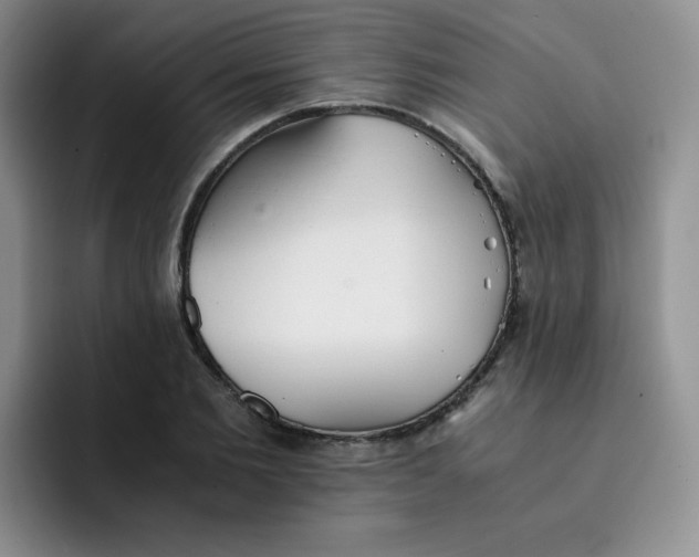 X0000091660885200709201142