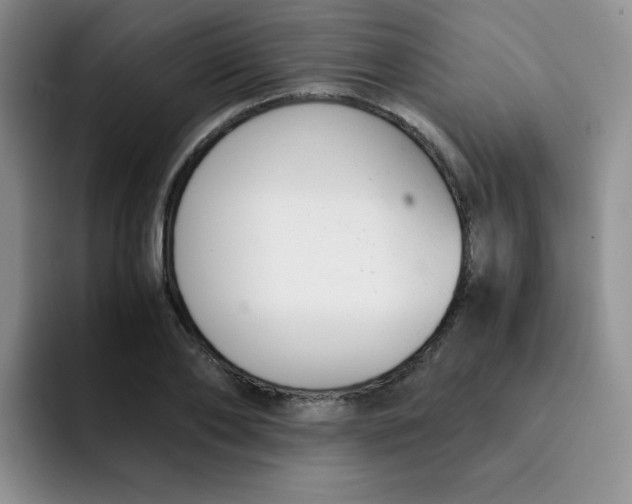 X0000091660886200709201142
