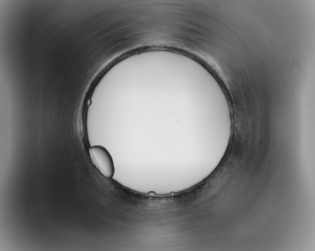 X0000091660887200709201142