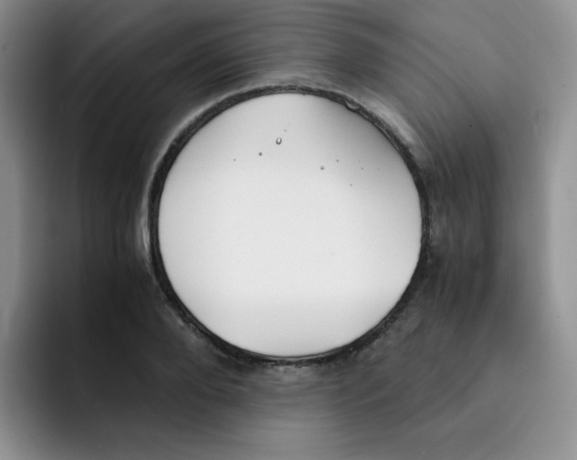 X0000091660888200709201142