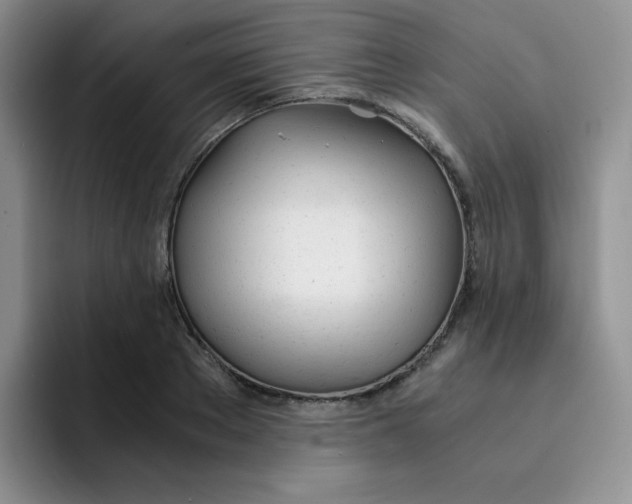 X0000091660889200709201142