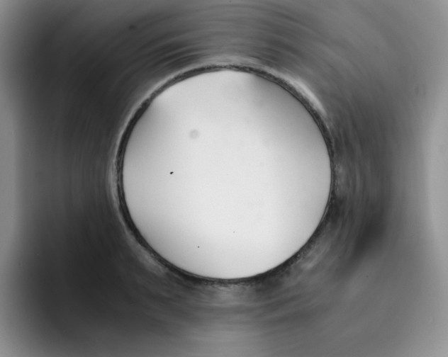 X0000091660895200709201142