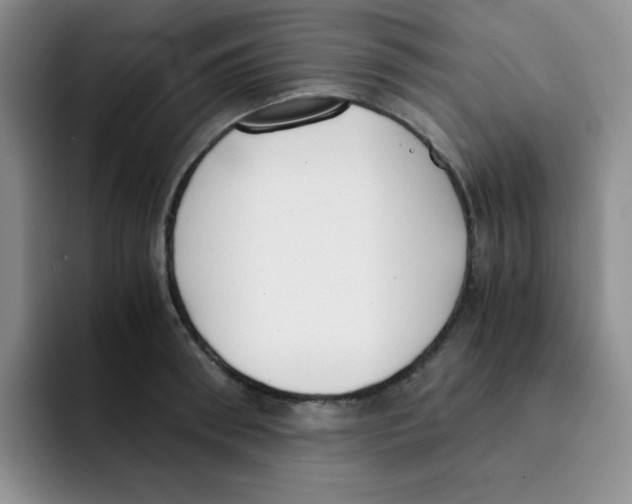 X0000091660898200709201142