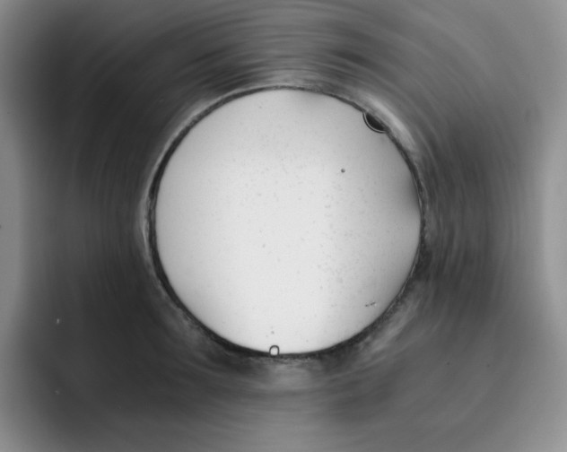 X0000091660899200709201142