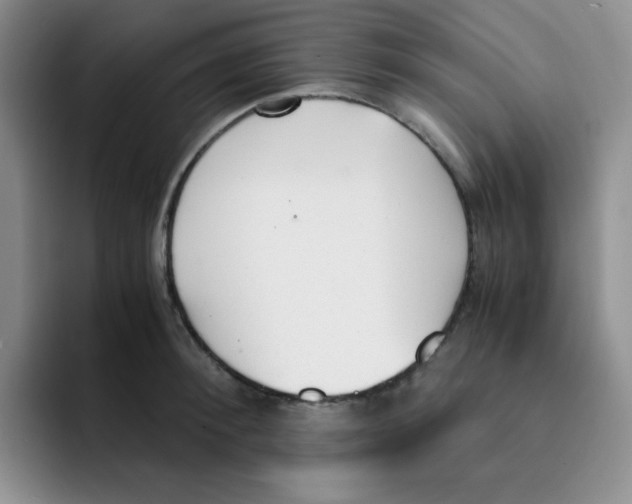 X0000091660900200709201142