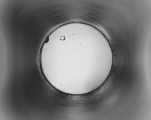 X0000091660903200709201142