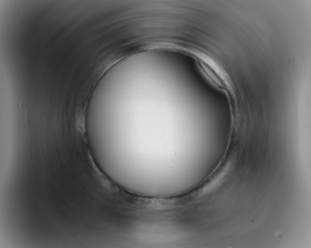 X0000091660905200709201142
