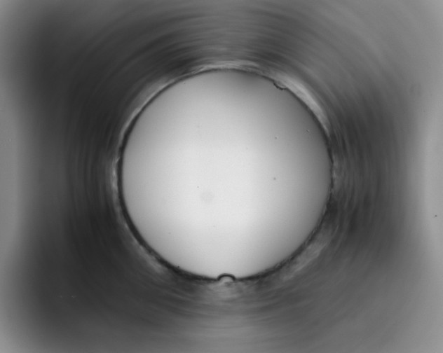 X0000091660906200709201142