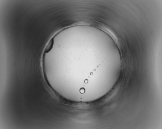 X0000091660907200709201142