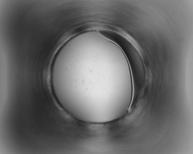 X0000091660909200709201142