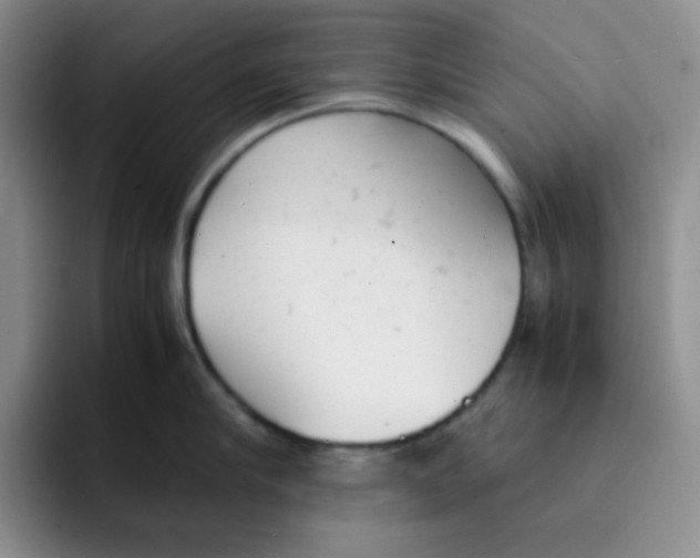 X0000091660910200709201142