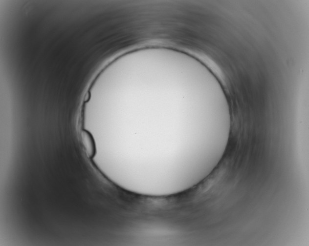 X0000091660911200709201142