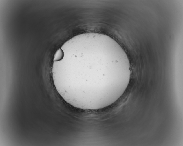 X0000091660913200709201141