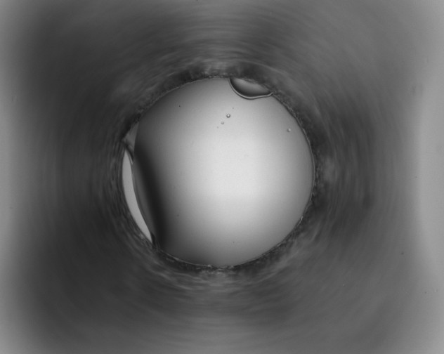 X0000091660914200709201141