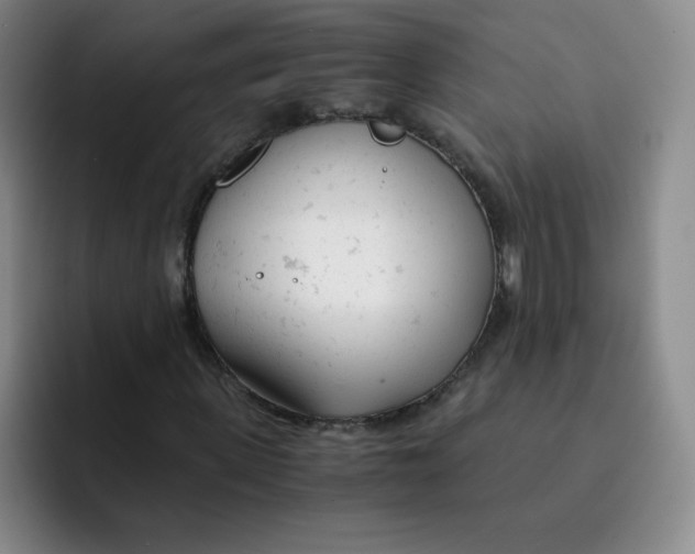 X0000091660915200709201141
