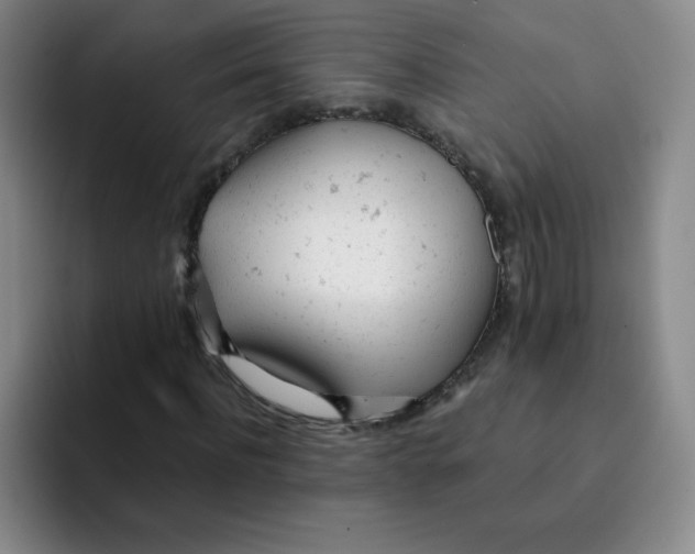 X0000091660916200709201141