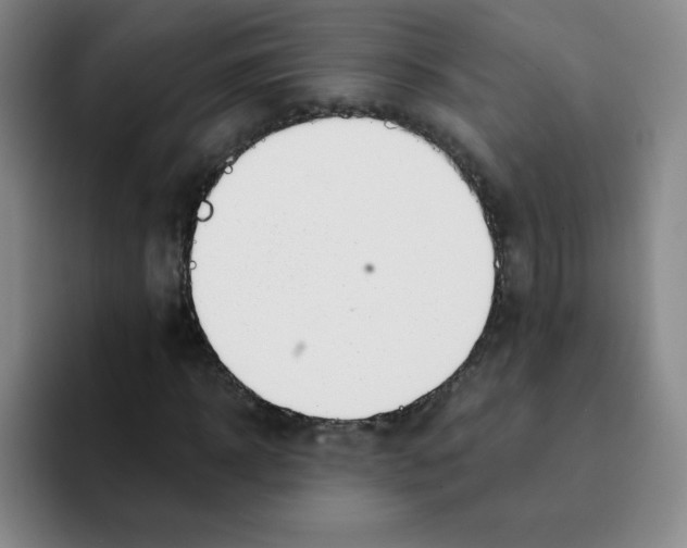 X0000091660918200709201141
