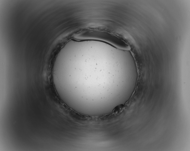 X0000091660920200709201141
