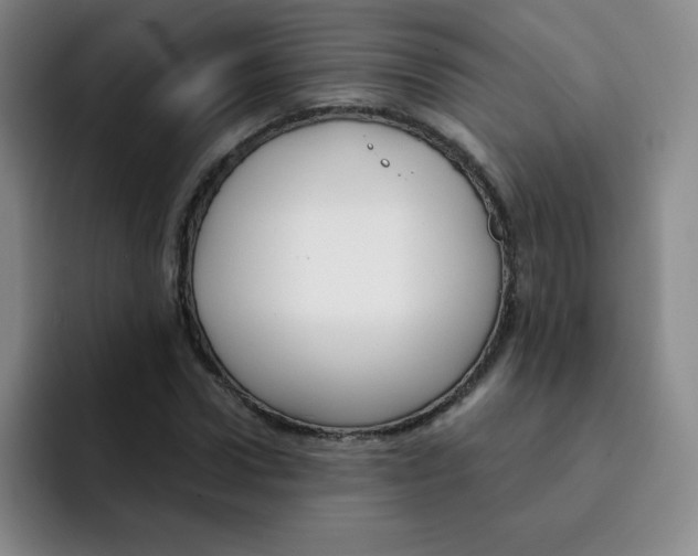 X0000091660922200709201141