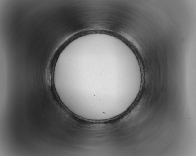 X0000091660925200709201141