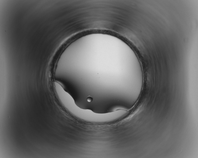 X0000091660926200709201141
