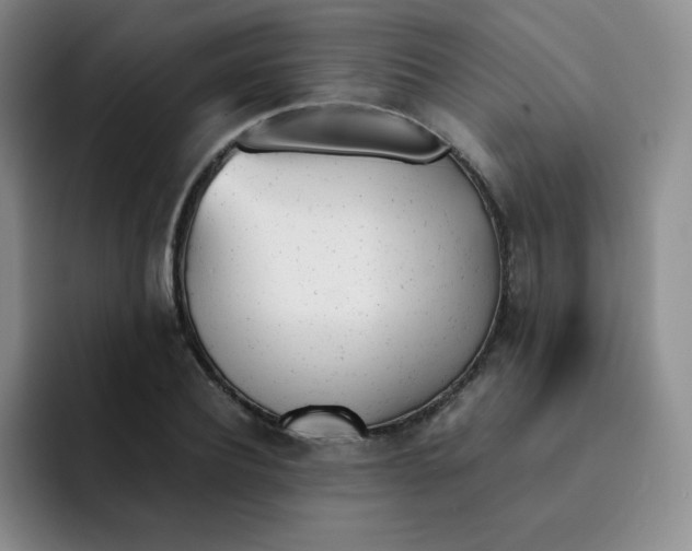 X0000091660932200709201141