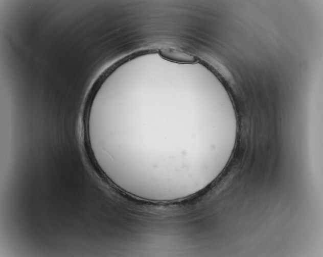 X0000091660936200709201141