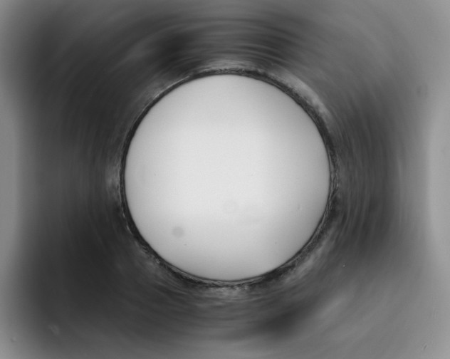 X0000091660937200709201141