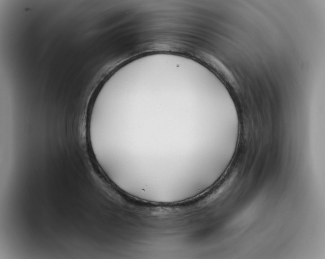 X0000091660938200709201141