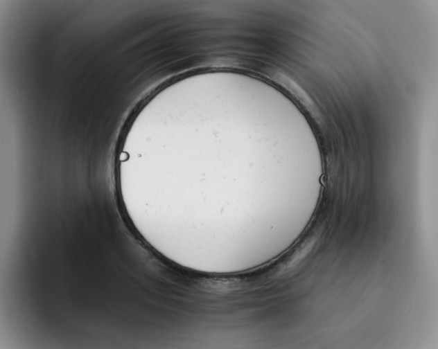 X0000091660939200709201141