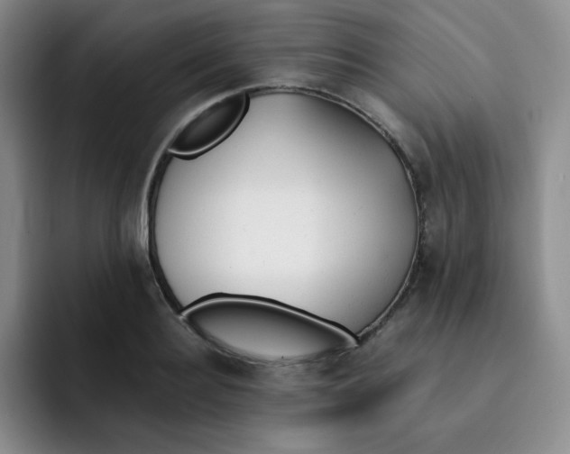 X0000091660940200709201141