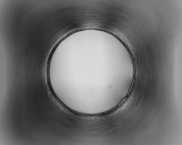 X0000091660941200709201141