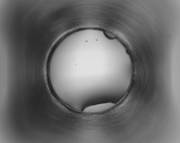 X0000091660942200709201141