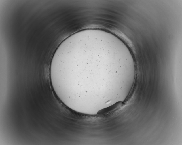 X0000091660945200709201141