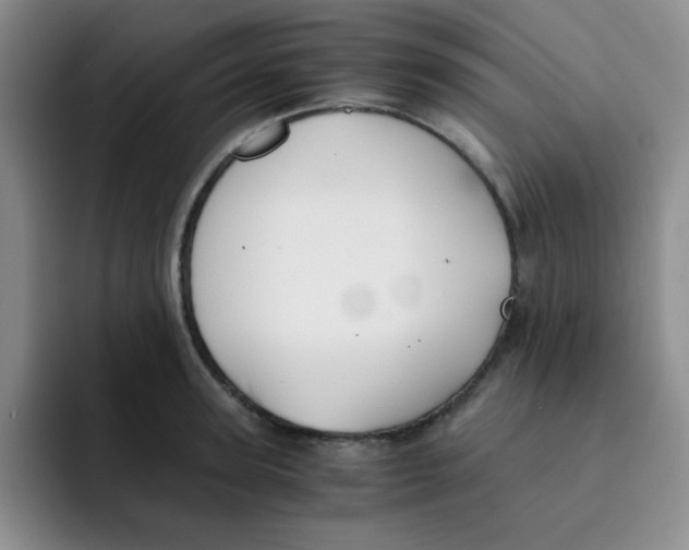 X0000091660947200709201142