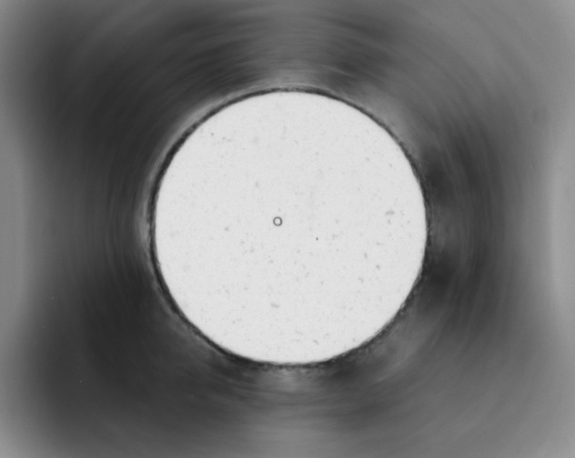 X0000091660950200709201142