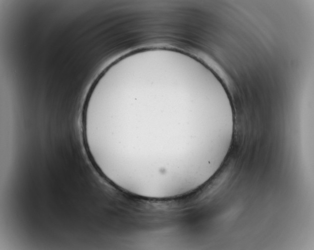 X0000091660951200709201142