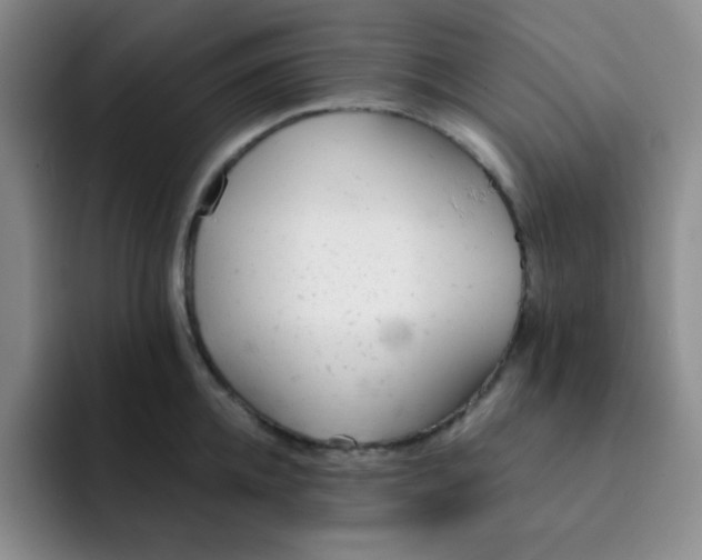 X0000091660952200709201142