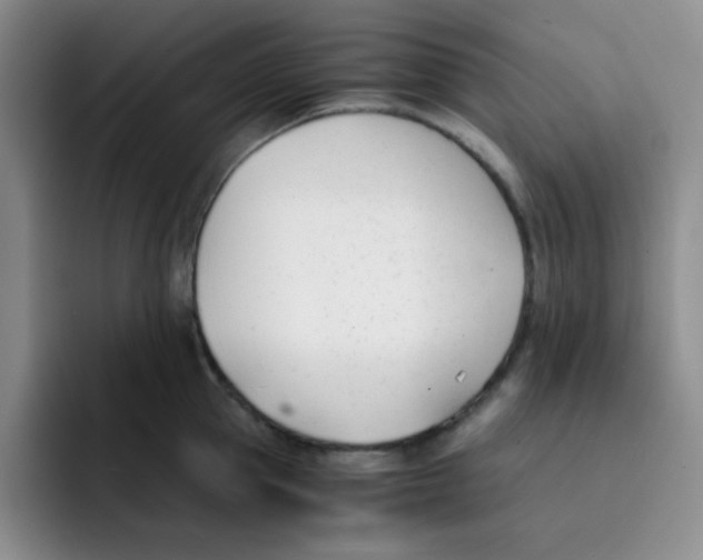 X0000091660953200709201142