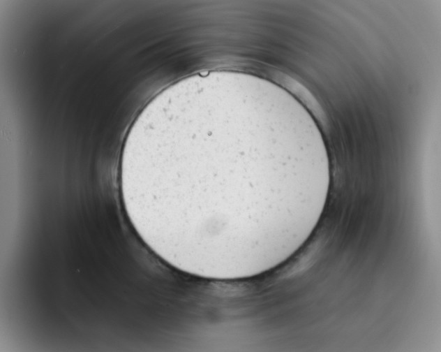 X0000091660954200709201142