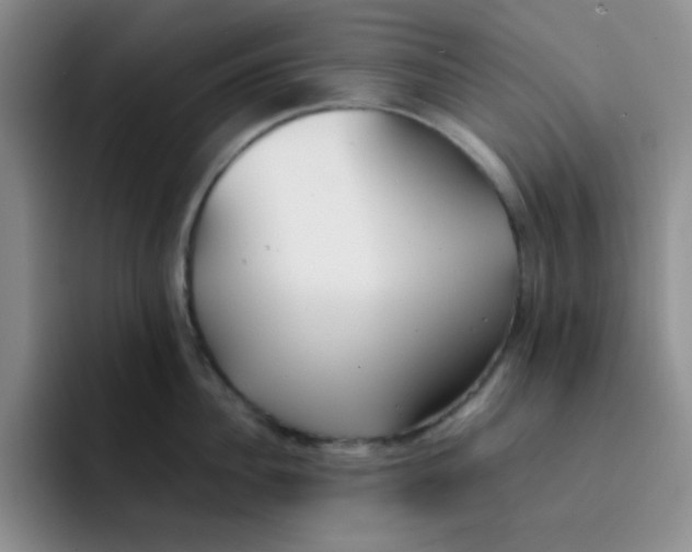 X0000091660956200709201142