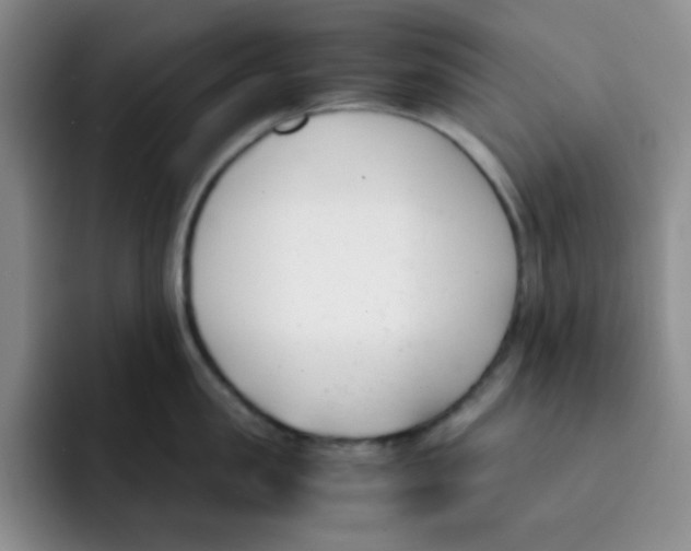 X0000091660957200709201142