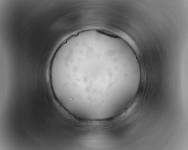 X0000091660958200709201142