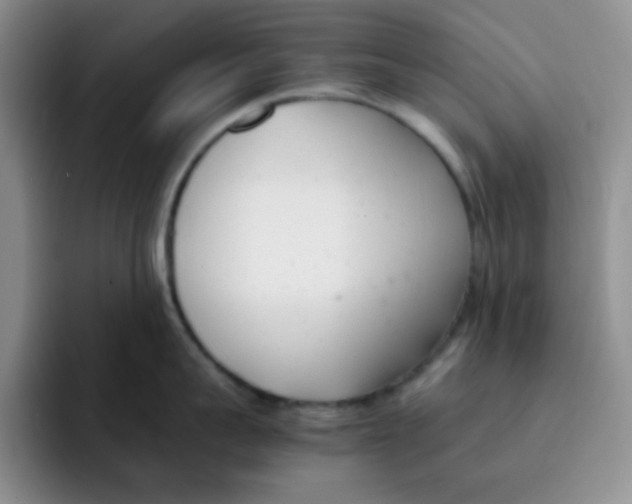 X0000091660959200709201142