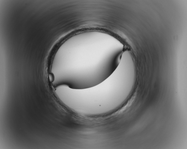 X0000091660973200709201141